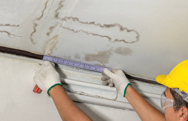 Reliable Burst Pipe Cleanup contractor in South Orange, NJ by Water Damage Irwin